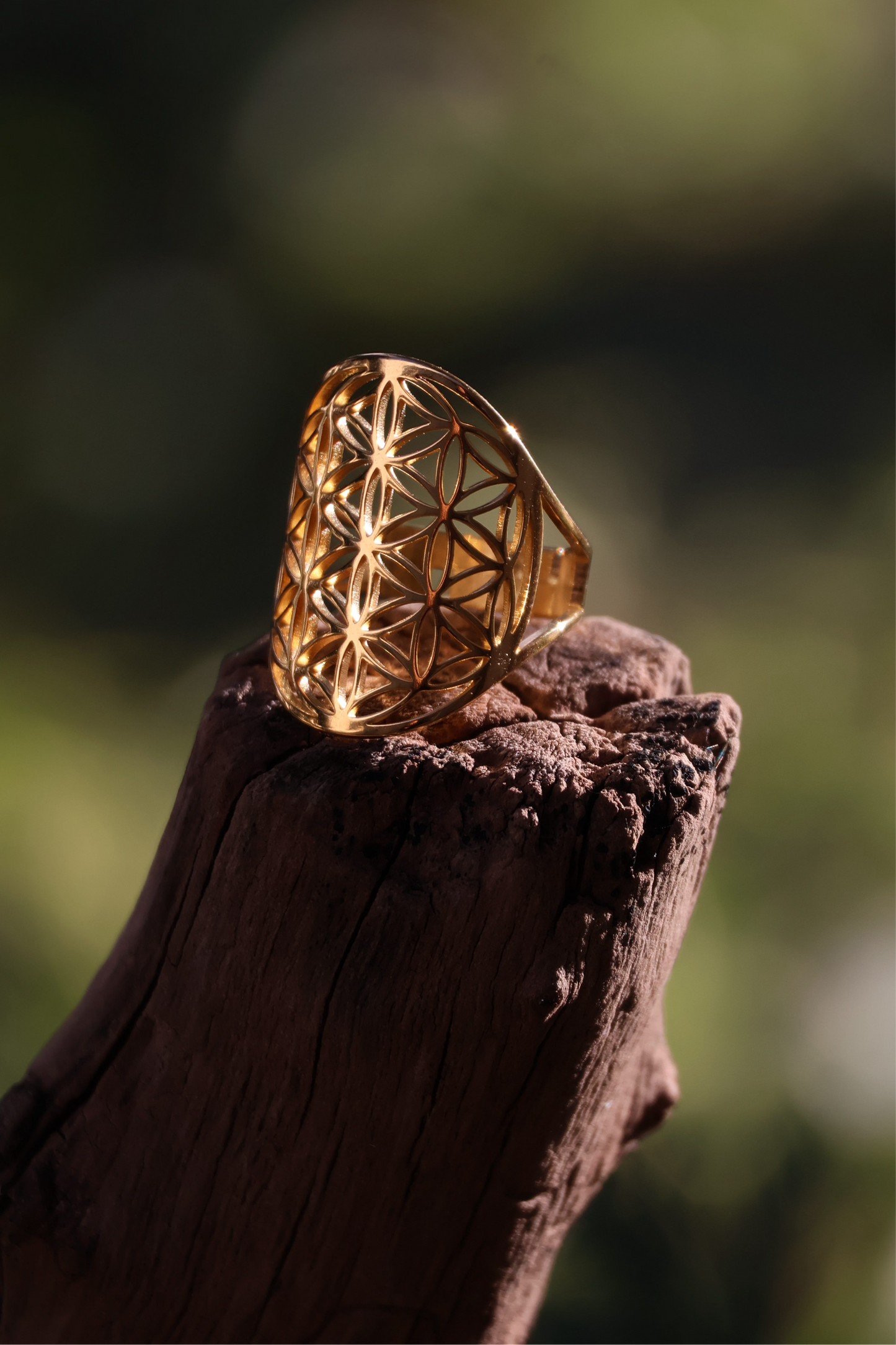 Bague fleur de vie